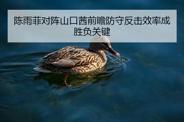 陈雨菲对阵山口茜前瞻防守反击效率成胜负关键 - DAFA.COMapp