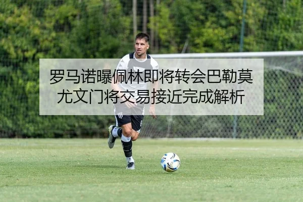罗马诺曝佩林即将转会巴勒莫 尤文门将交易接近完成解析 - DAFA.COMapp