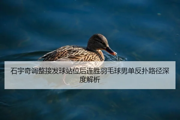 石宇奇调整接发球站位后连胜羽毛球男单反扑路径深度解析 - DAFA.COMapp