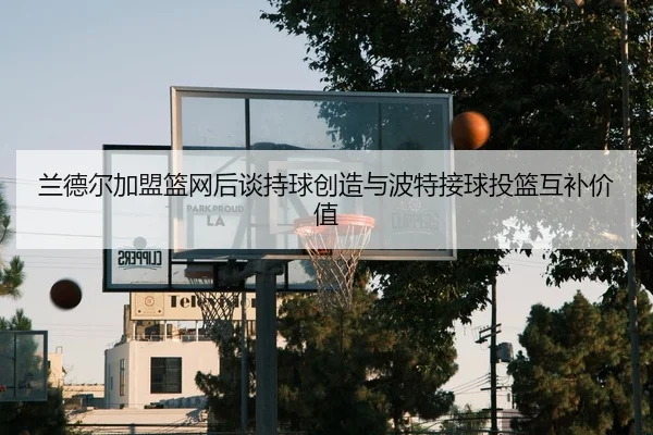 兰德尔加盟篮网后谈持球创造与波特接球投篮互补价值 - DAFA.COMapp